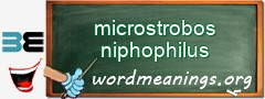 WordMeaning blackboard for microstrobos niphophilus